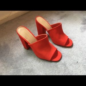 The perfect mule [SOLD]